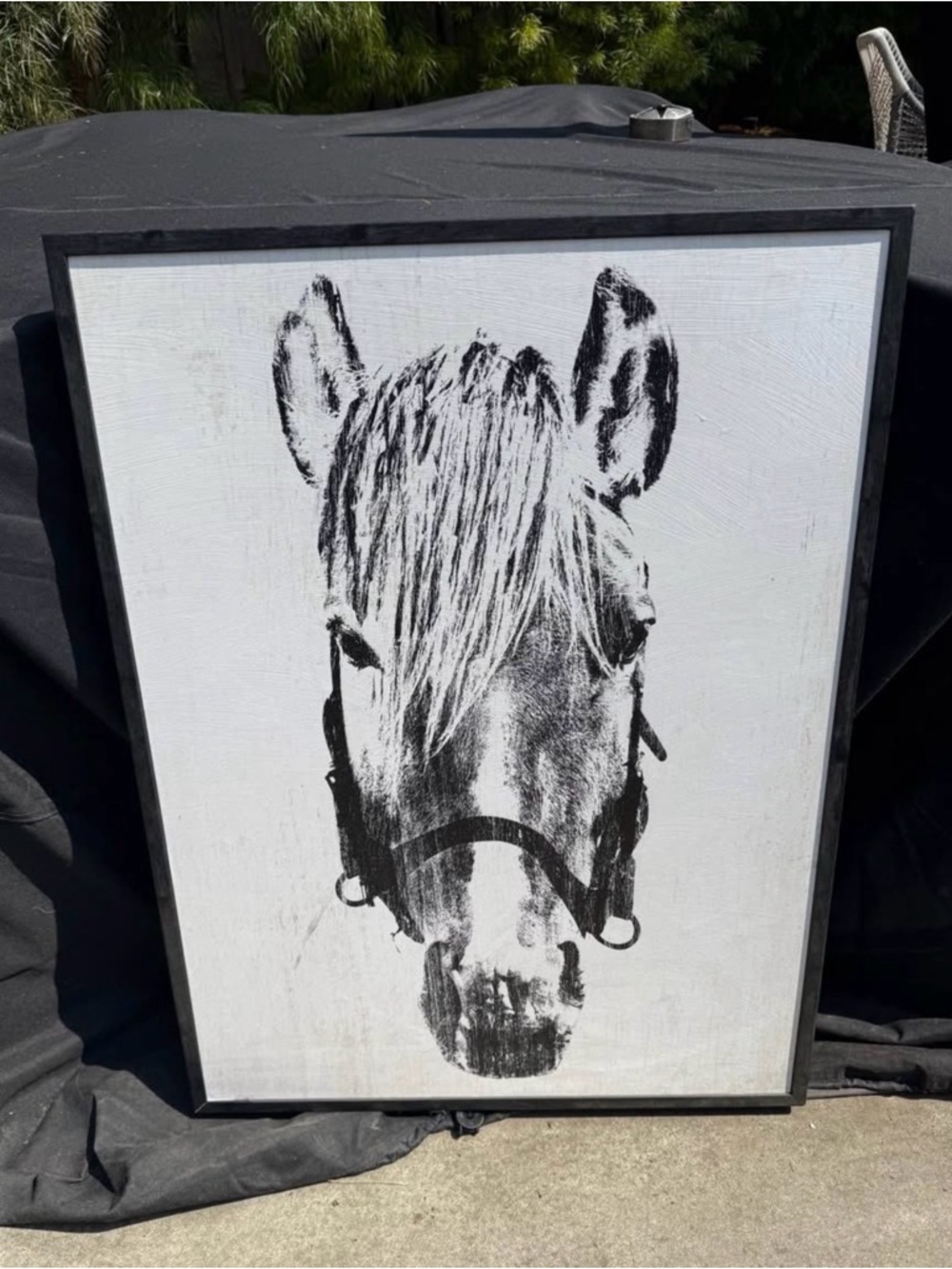 Magnolia Black and White Horse Portrait Wall Art